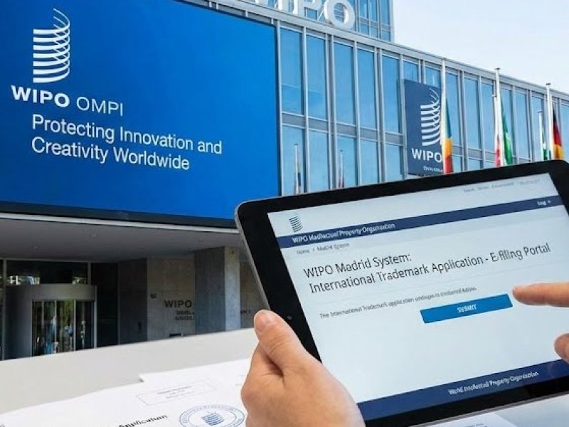 WIPO Marka Başvurusu